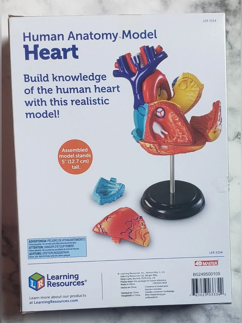 NEW Human Heart Anatomy Model Educational Biology 29-Pieces Learning Resources